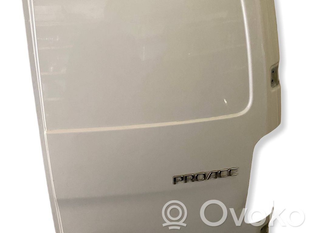 Peugeot Expert Back/rear loading door 