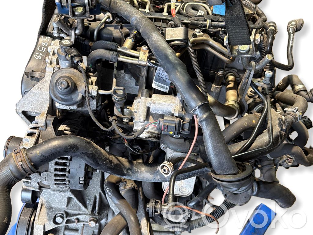 Motor   CJC
