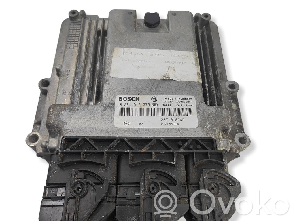Engine control unit/module   0281019075,237101074R