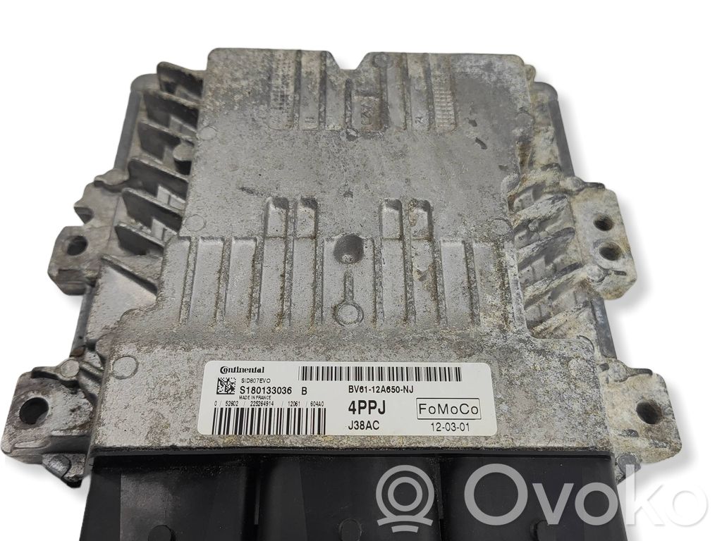 Ford Focus Engine control unit/module 