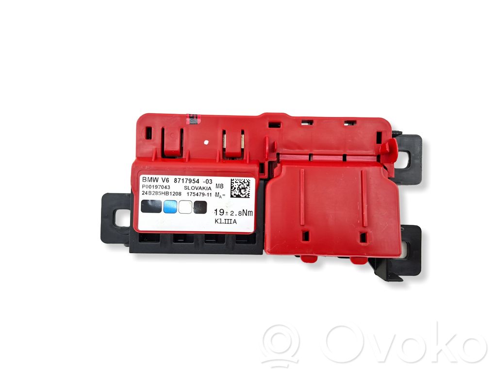 BMW i4 Positive wiring loom 