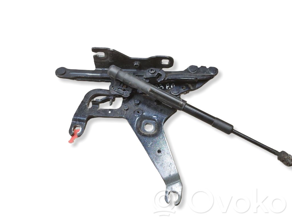BMW X5 F15 Cerniere del vano motore/cofano 