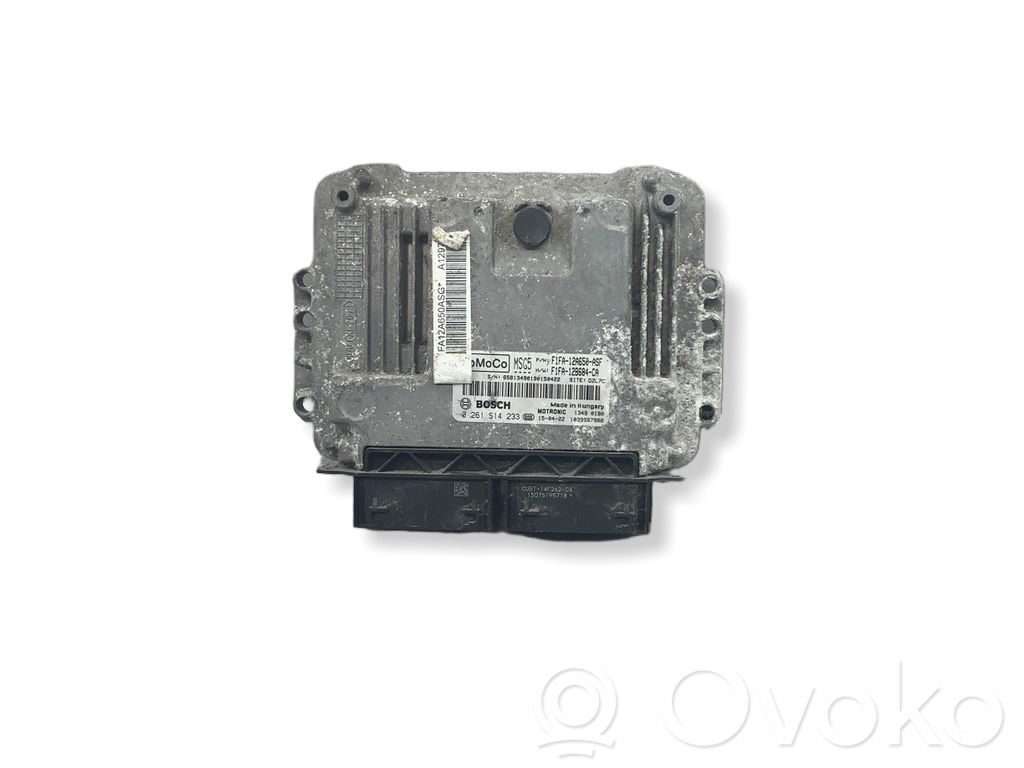 Ford Focus Engine control unit/module 