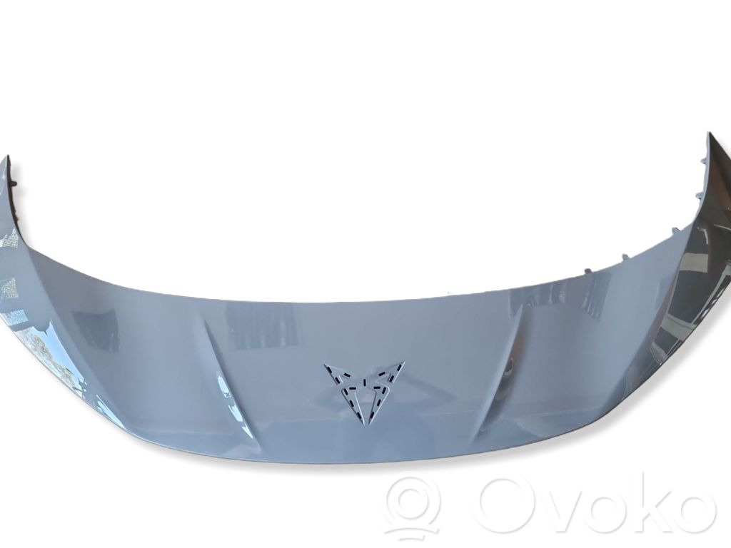Cupra Born Front bumper splitter molding 