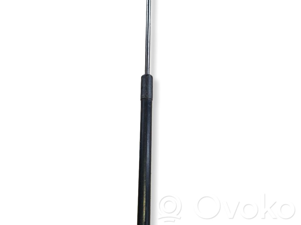 Renault Megane III Tailgate/trunk strut/damper 