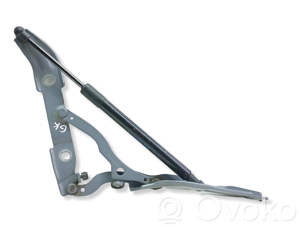 BMW 1 E82 E88 Tailgate/trunk/boot hinge 