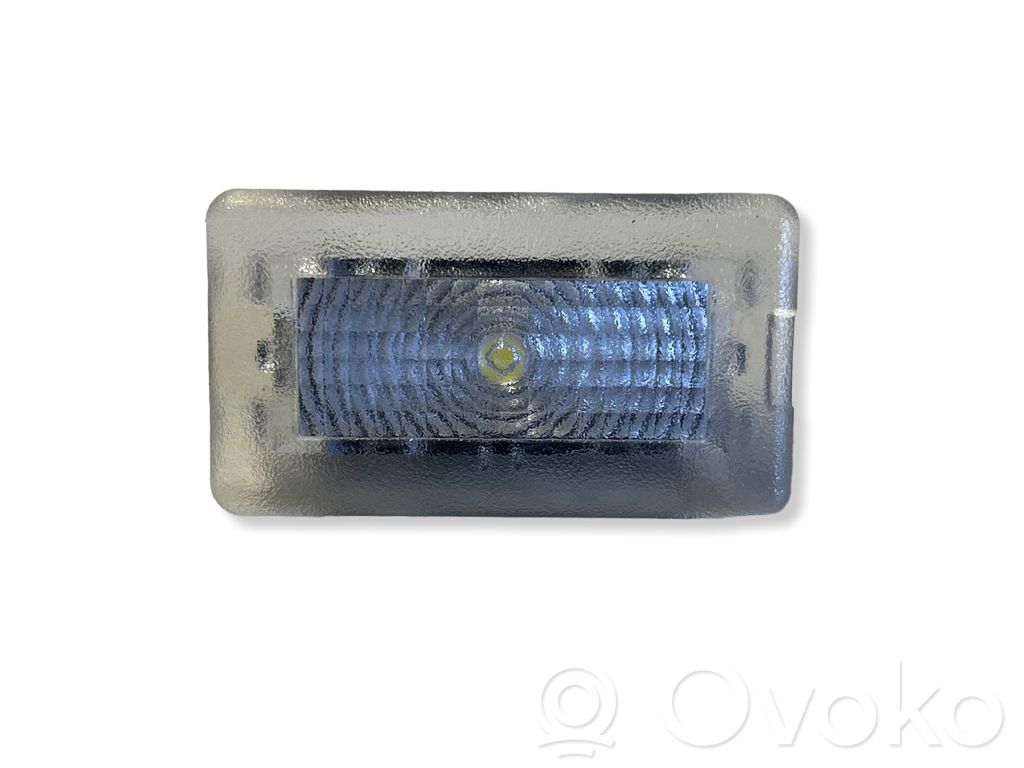 Front door interior light   100715170E