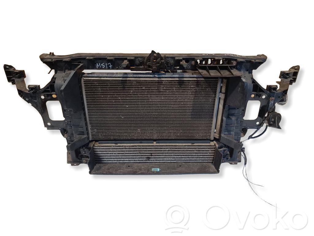 Radiatorių panelė   64102J7120