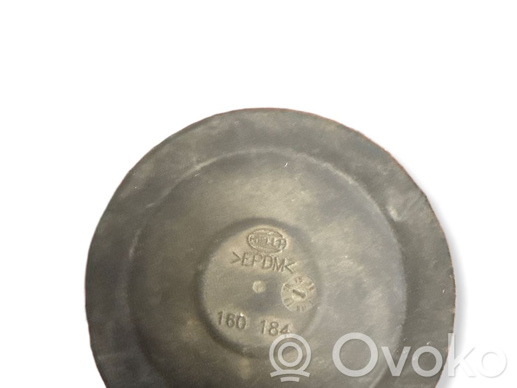 Renault Master III Osłona żarówki lampy przedniej 