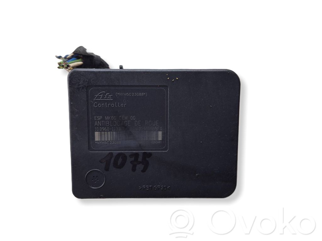 ABS control unit/module   10096011333