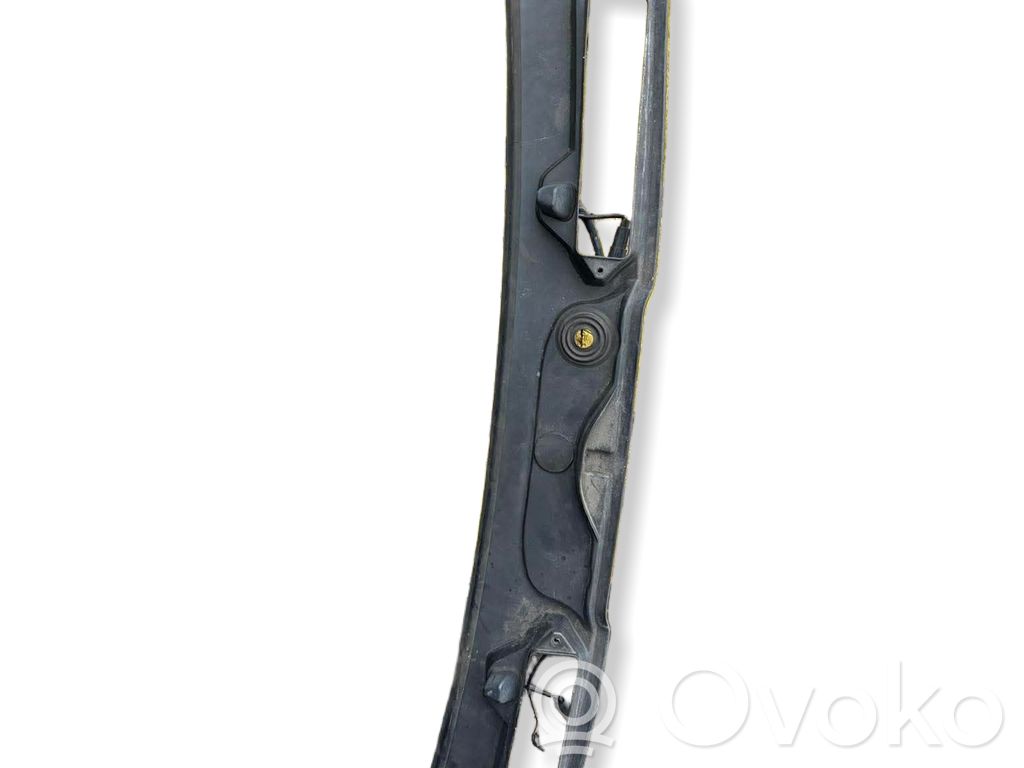 Wiper trim   4362484