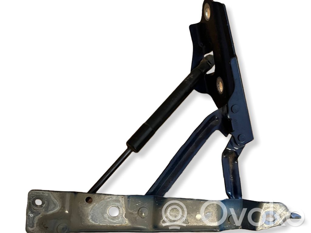 Dodge Challenger Tailgate/trunk/boot hinge 