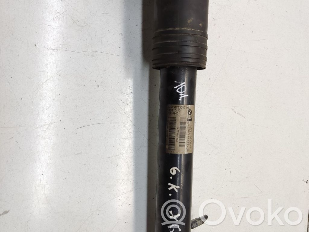 BMW X6 E71 Stoßdämpfer hinten 