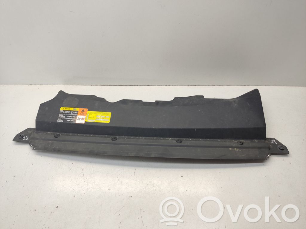 Ford Focus Radiator trim 