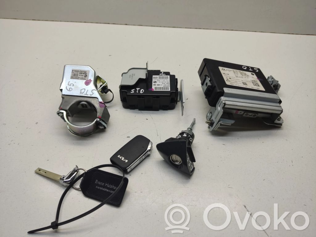 Komputer / Sterownik ECU i komplet kluczy   81900F9700,95440H8300,95300H8100,95480H8670