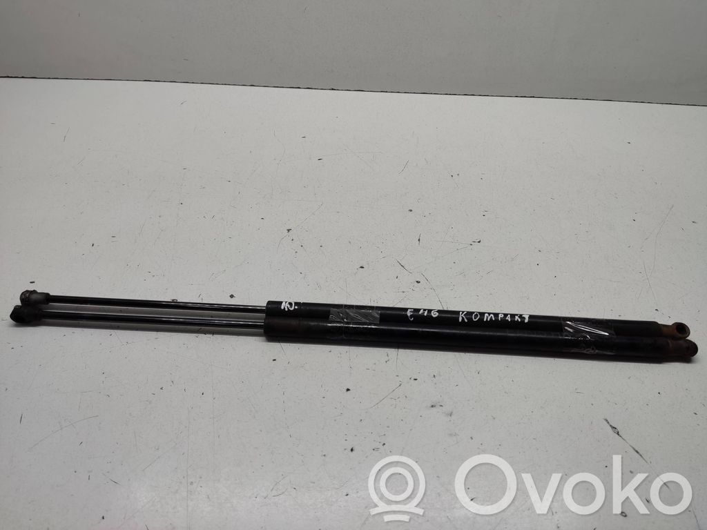 Tailgate/trunk strut/damper   7118885