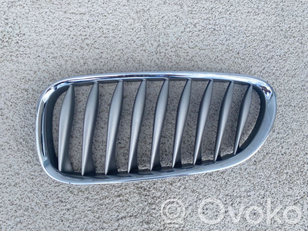 BMW Z4 E85 E86 Grotelės viršutinės 