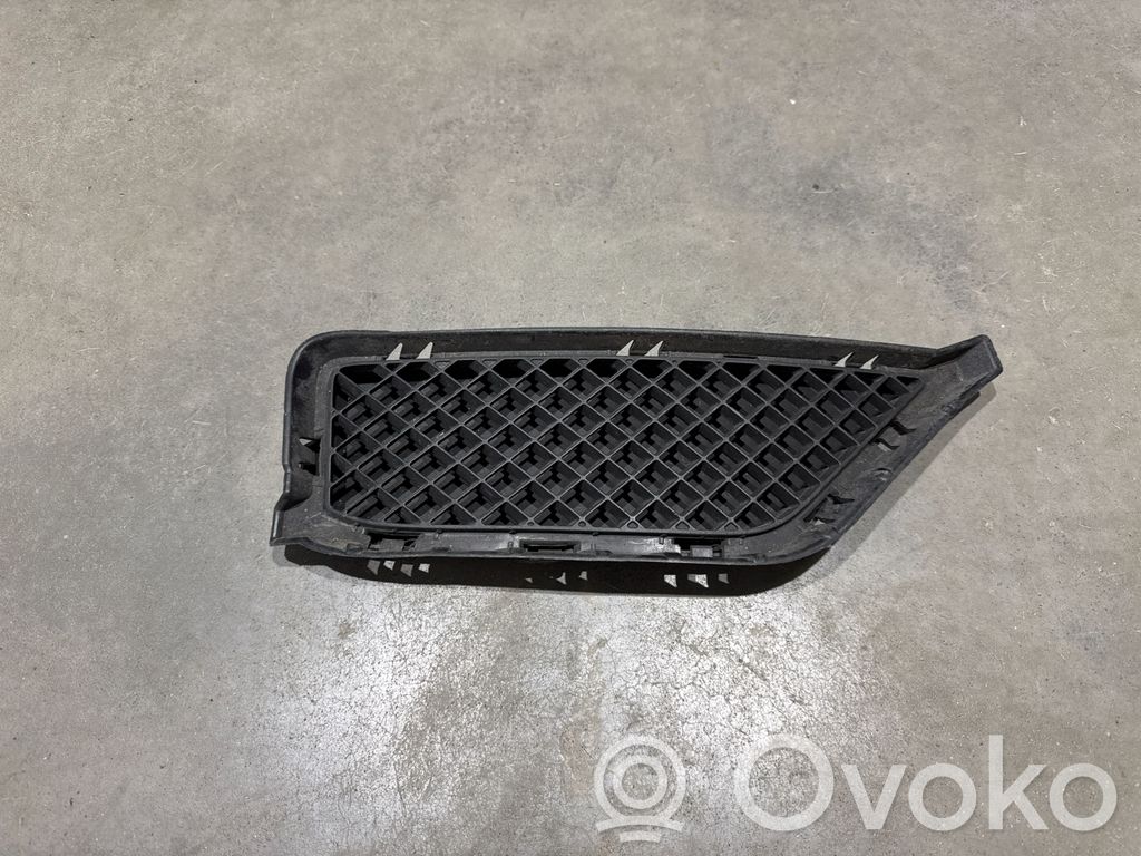 Front bumper lower grill   51117303754