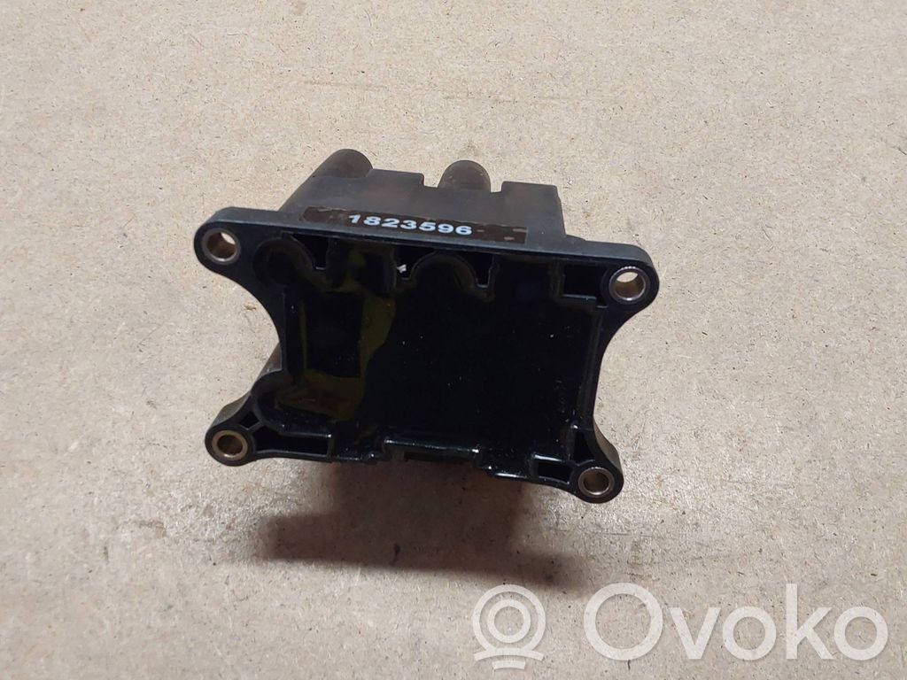 Ford Focus Combustion control unit/module 