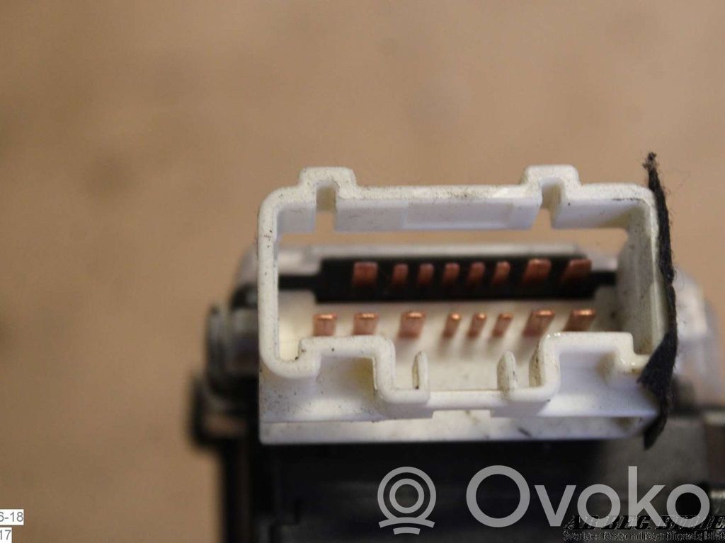 Indicator stalk   17A0893