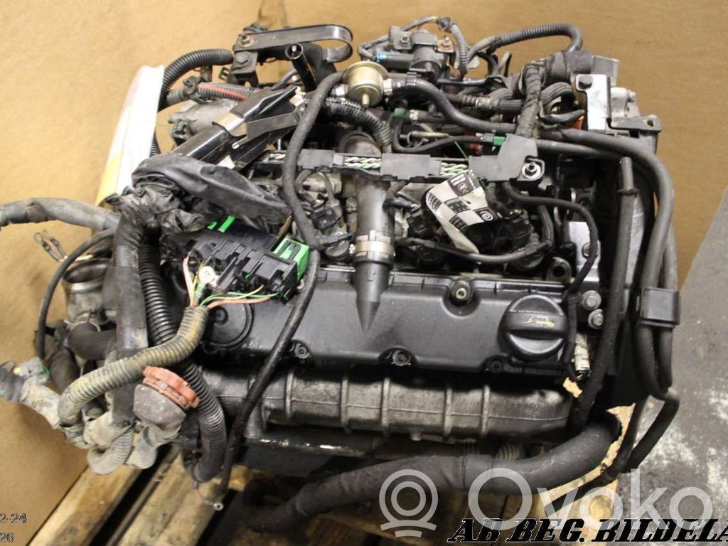 Engine   RHYDW10TD