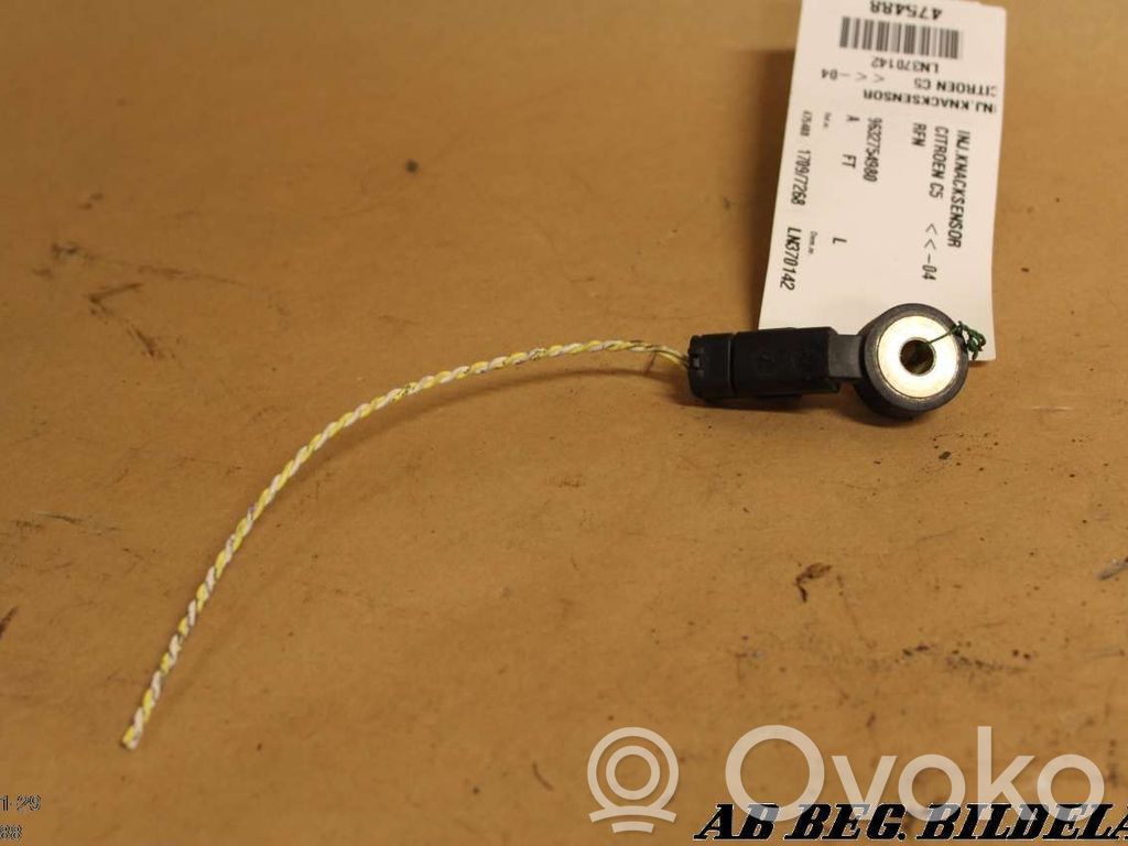 Sensor de petardeo del motor   9632754980