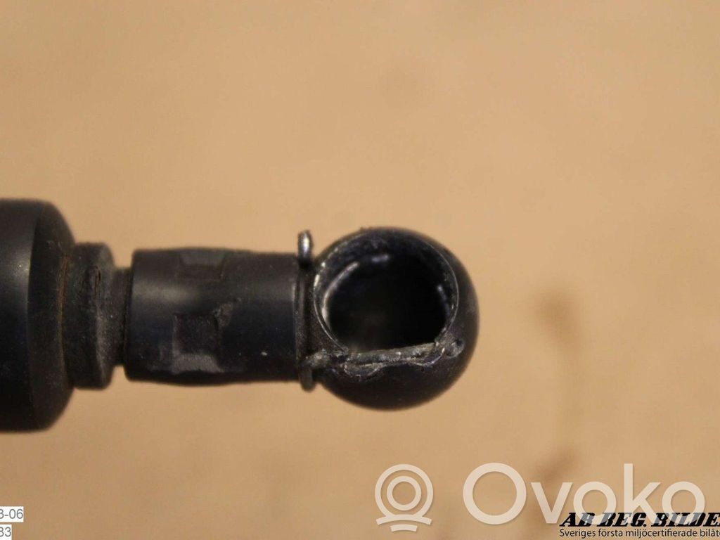 Tailgate strut   5117015