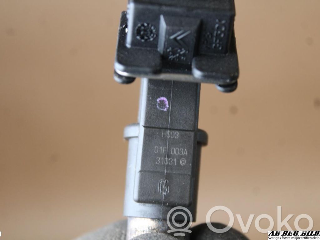 Fuel injector   01F003A