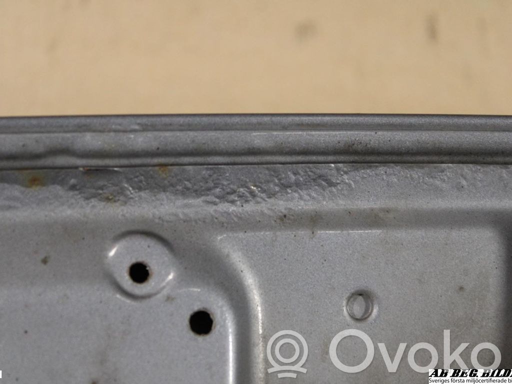 Volkswagen Polo IV 9N3 Engine bonnet/hood 