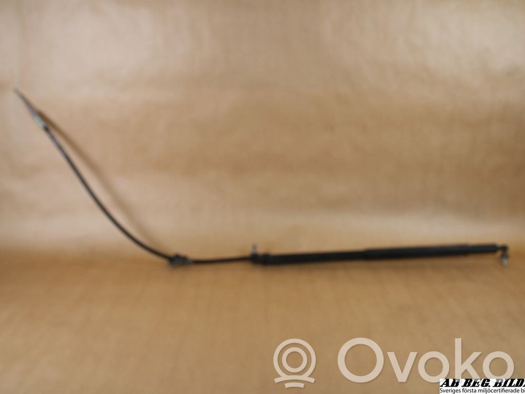 Citroen C5 Tailgate strut