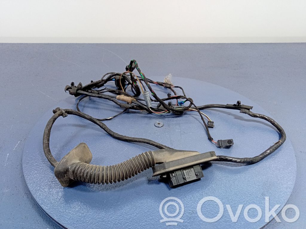 BMW X6 E71 Otros cableados 