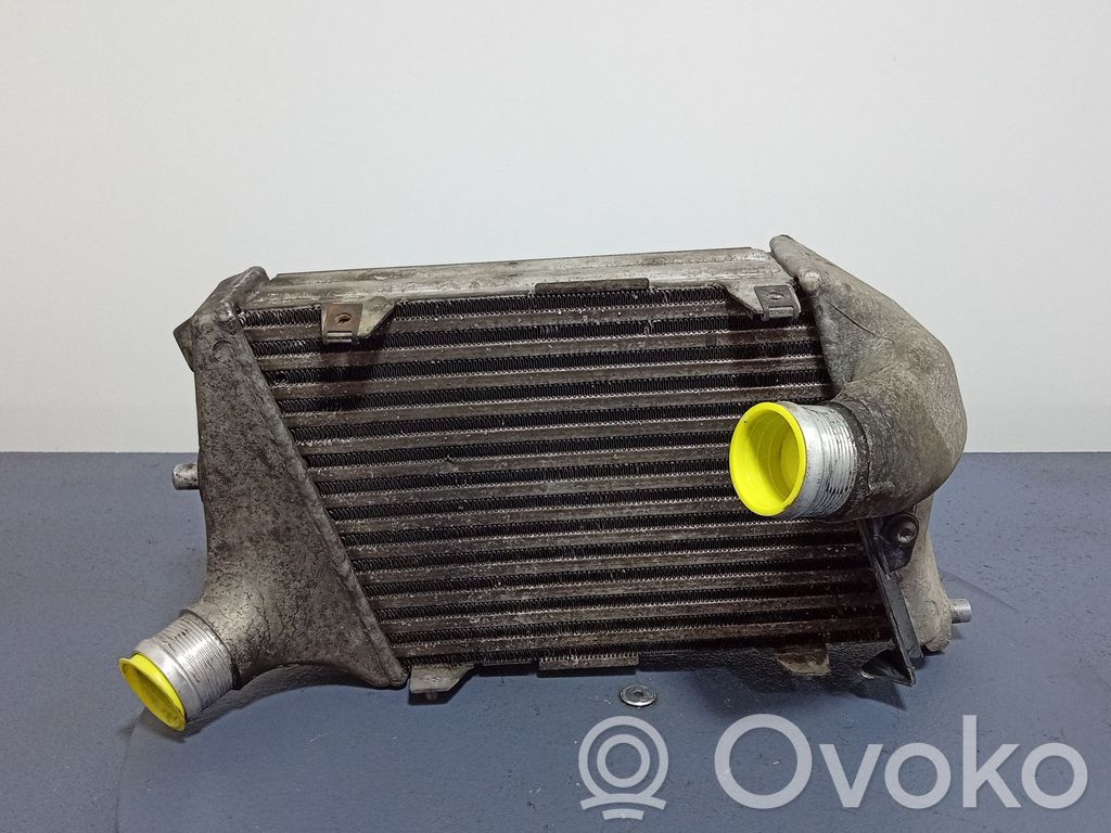 Audi A8 S8 D3 4E Interkūlerio radiatorius 