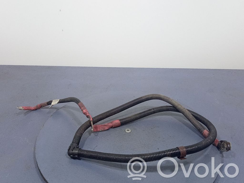 BMW X6 E71 Other wiring loom 