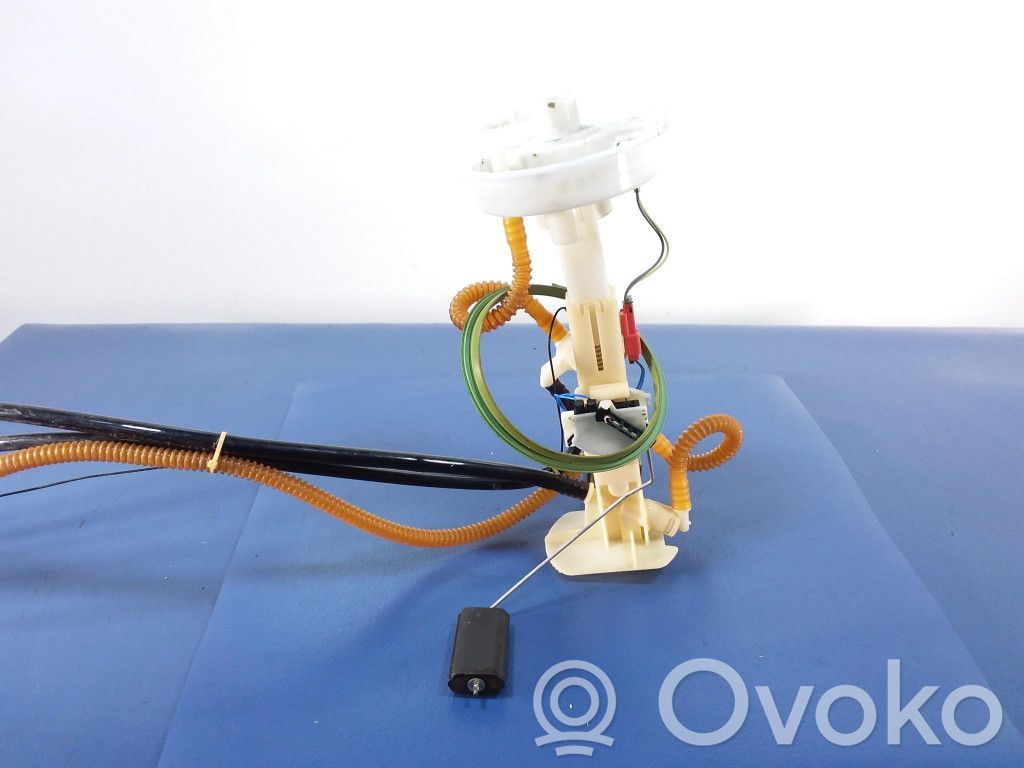 BMW X6 E71 In-tank fuel pump 