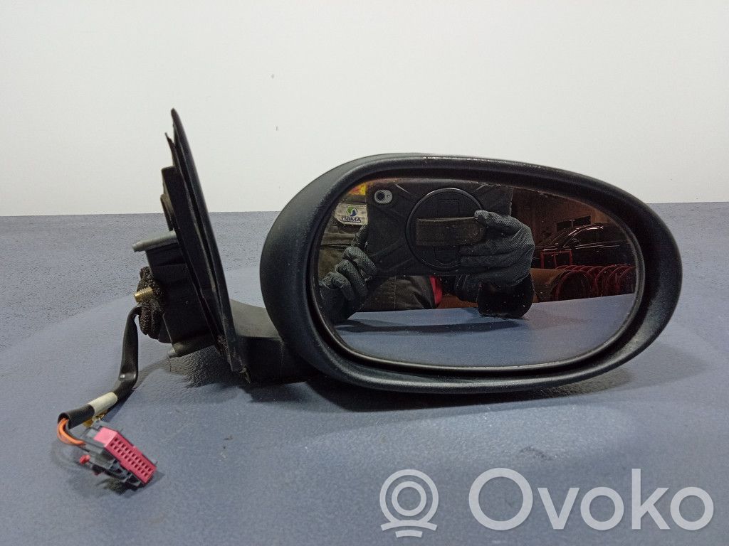 Jaguar X-Type Front door electric wing mirror