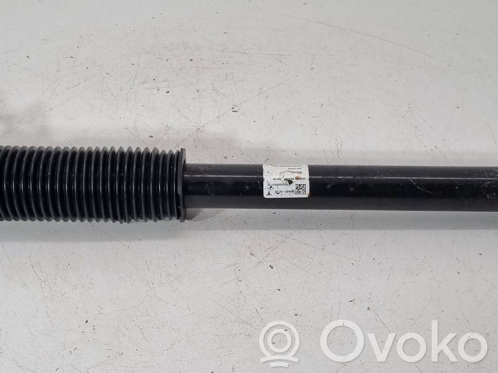 Stoßdämpfer hinten   1044461,104446101E