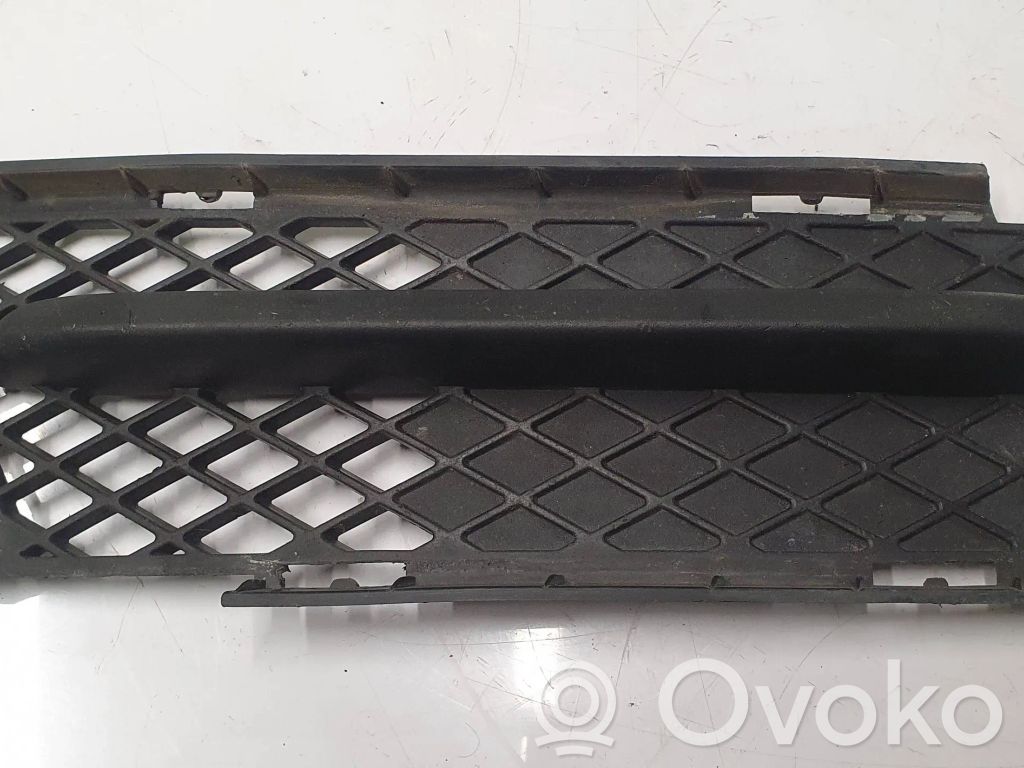 Front bumper lower grill   7154552