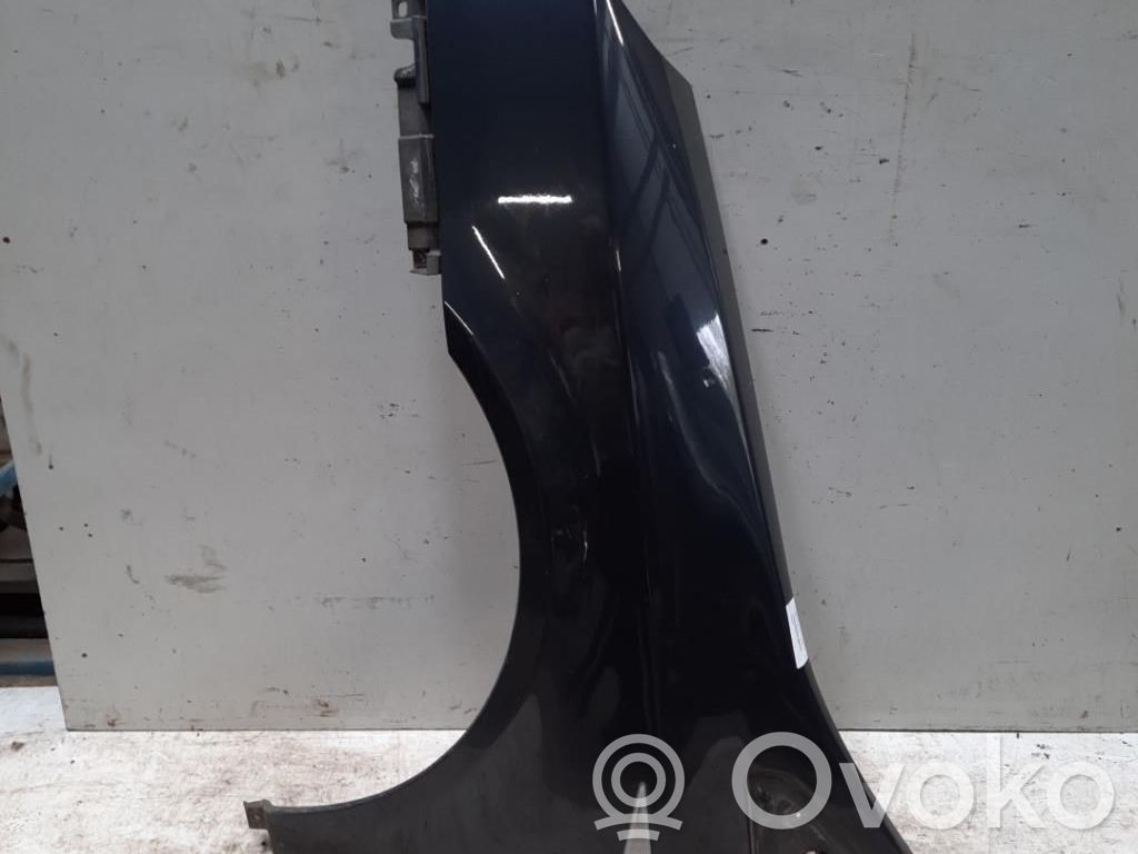 Renault Vel Satis Sparnas 