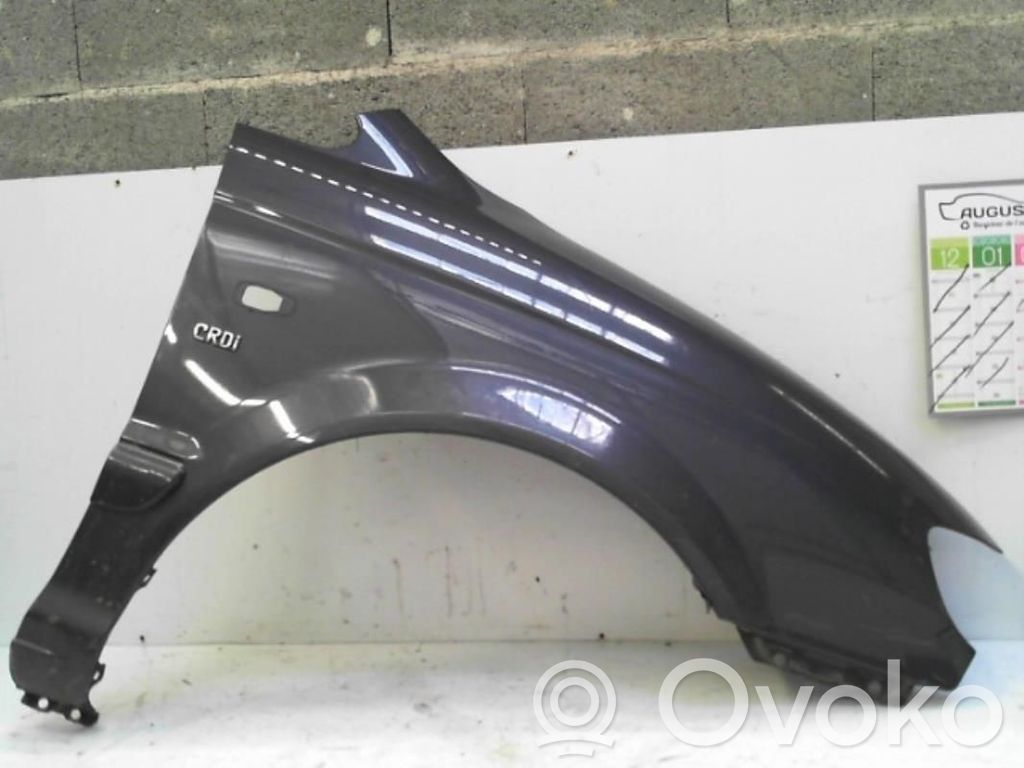 Hyundai Trajet Guardabarro 