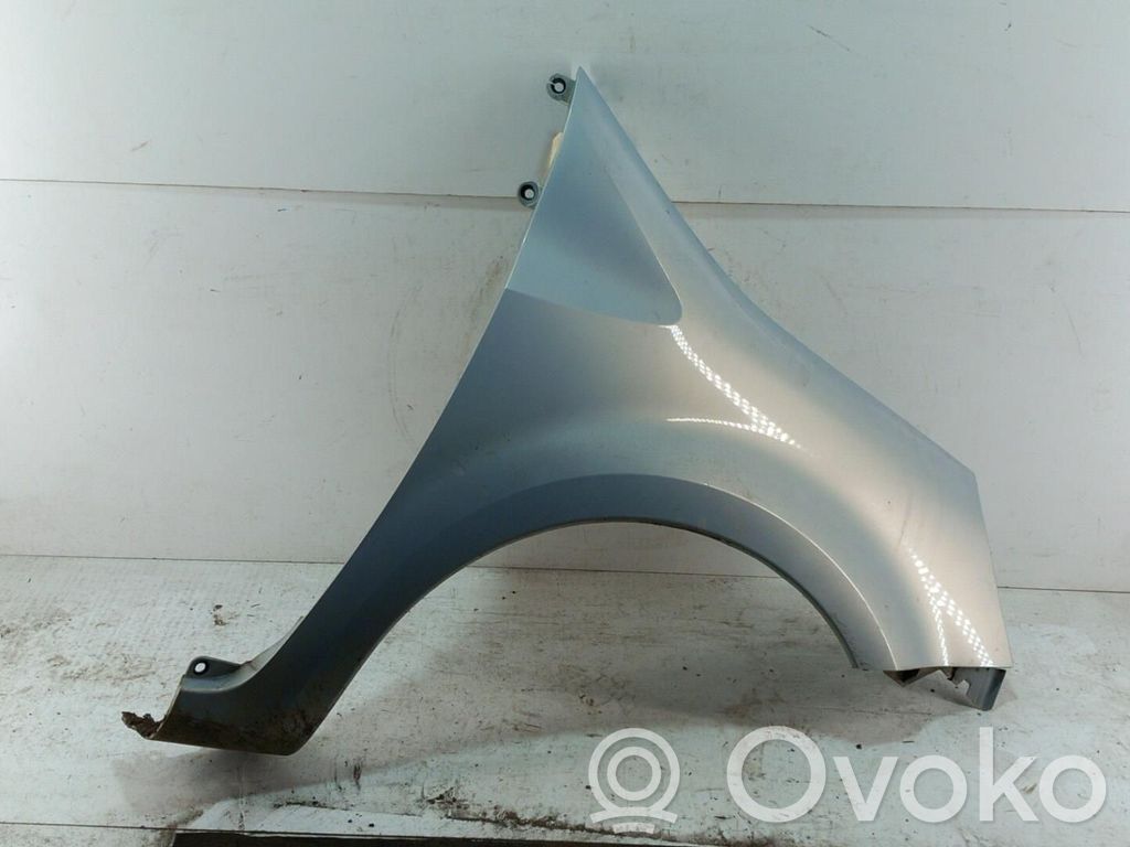 Renault Modus Sparnas 