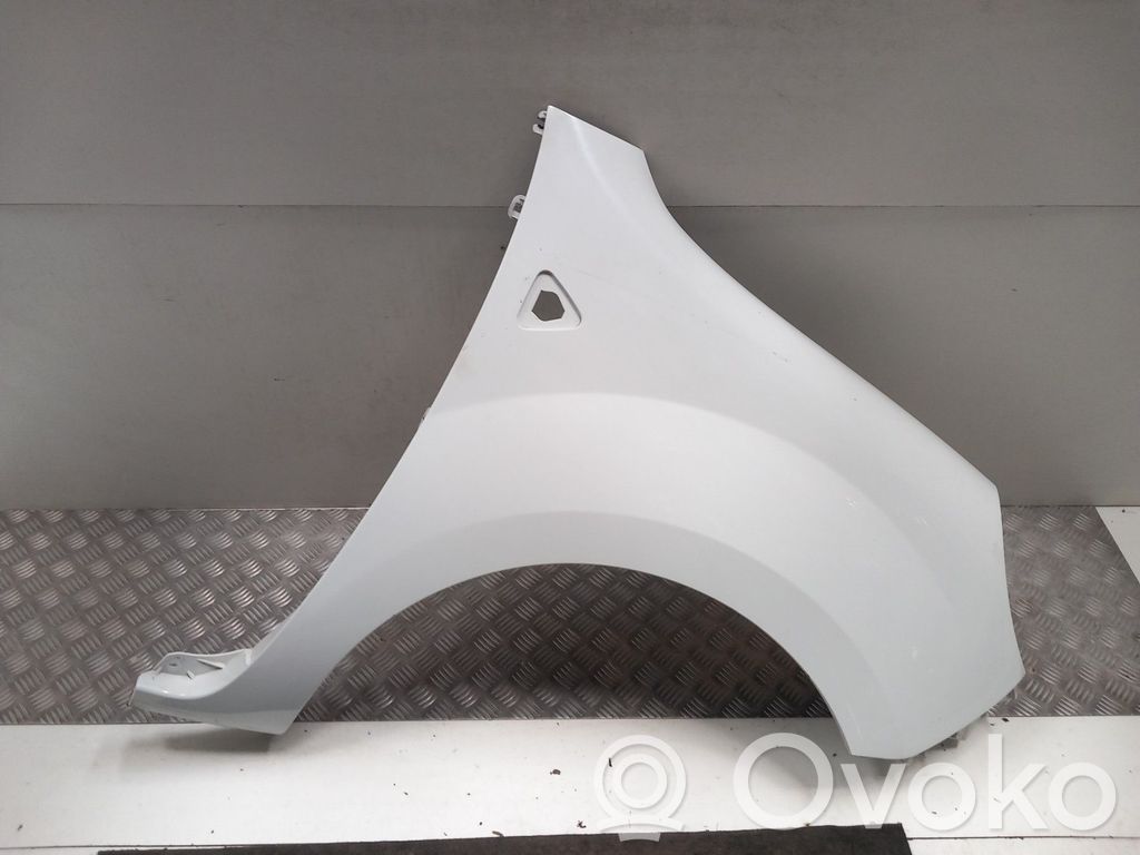 Renault Kangoo II Sparnas 