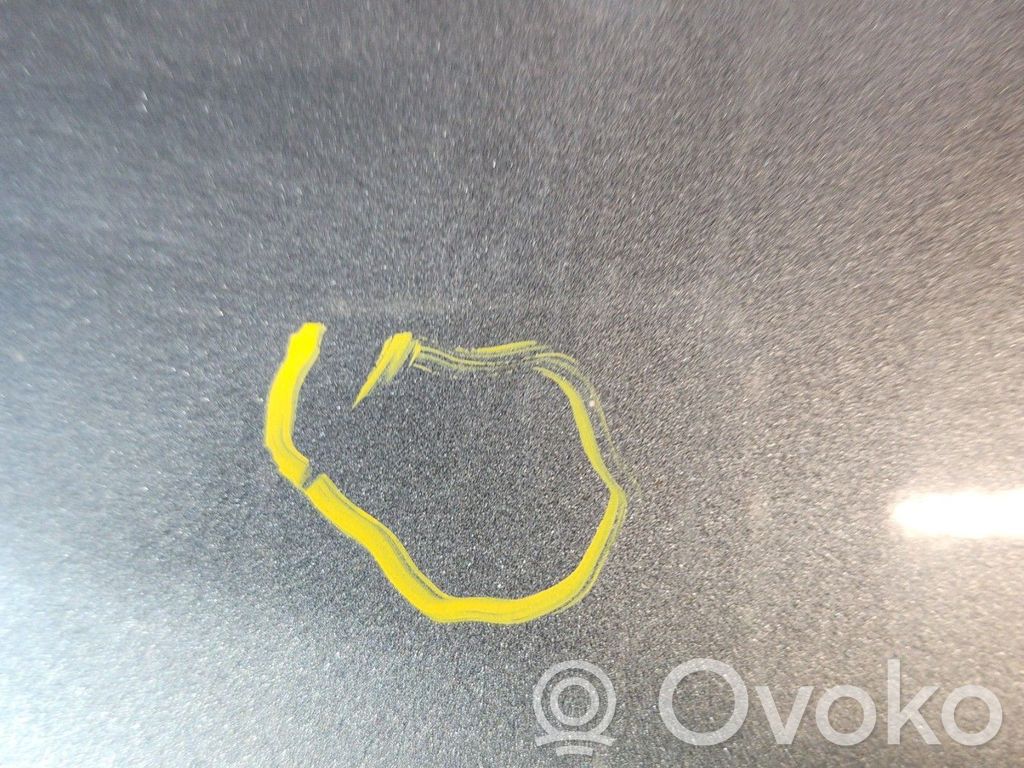 Renault 21 Priekinės durys 