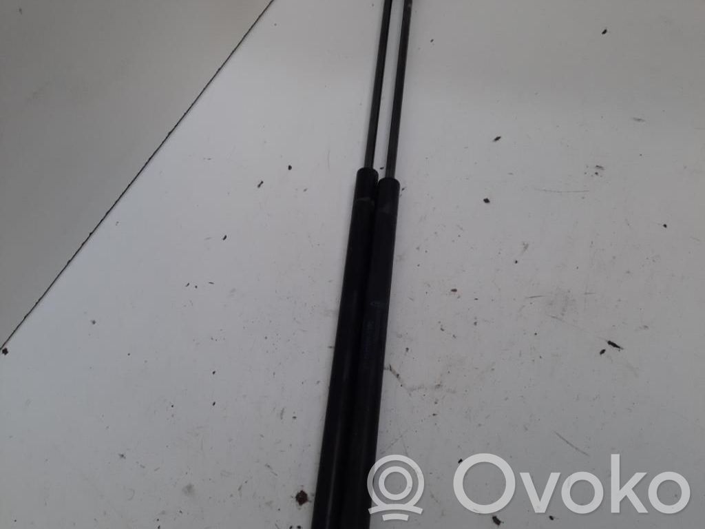Ford C-MAX I Tailgate/trunk strut/damper 