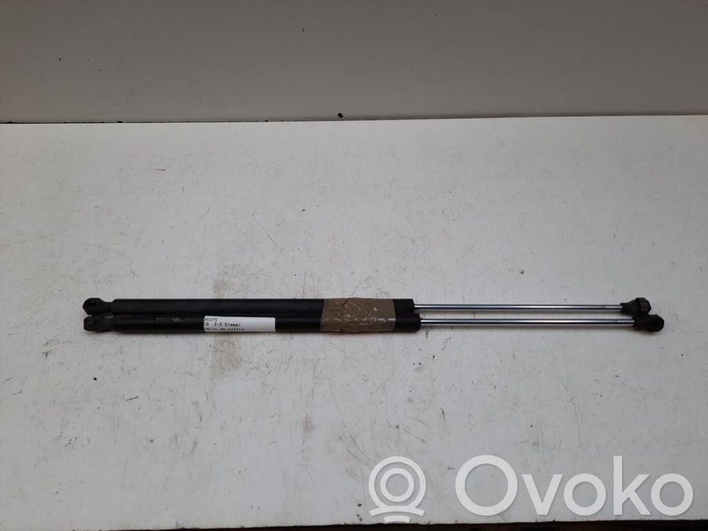 Citroen C8 Tailgate/trunk strut/damper 