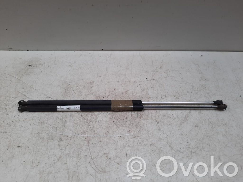 Citroen Berlingo Tailgate/trunk strut/damper 