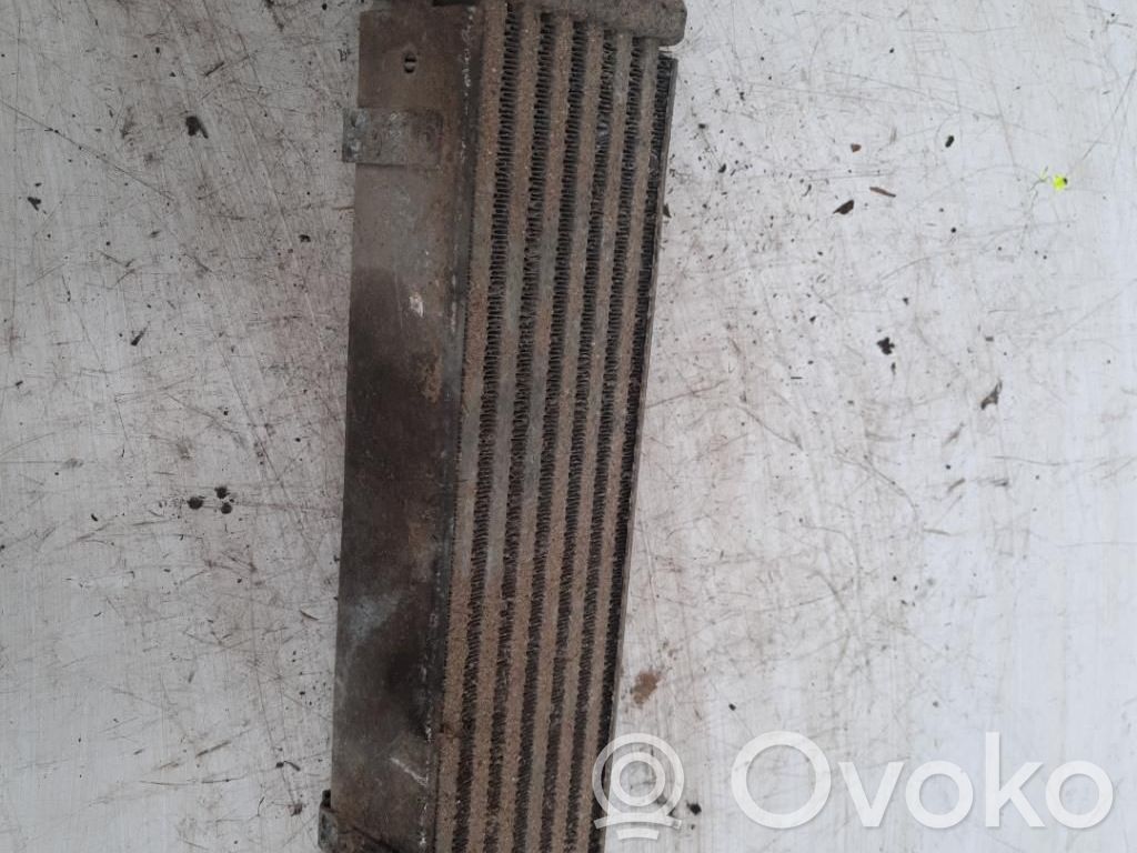 Interkūlerio radiatorius   5073581AA
