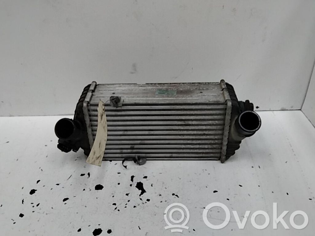 Hyundai i20 (PB PBT) Intercooler radiator 