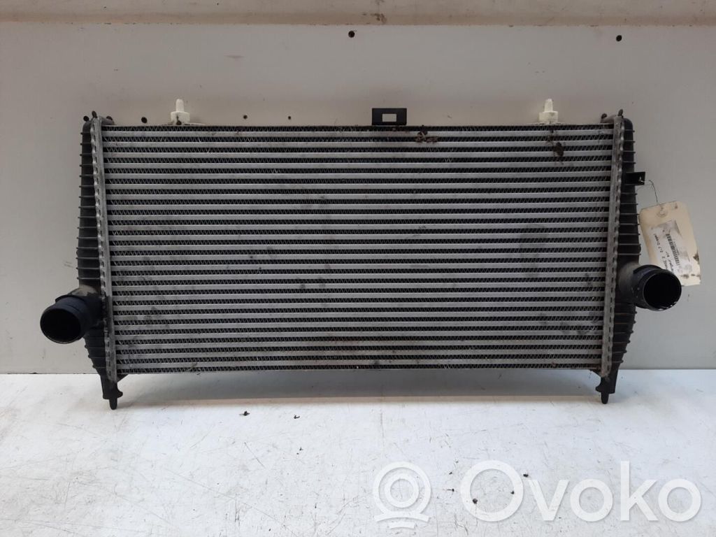 Peugeot 607 Intercooler radiator 