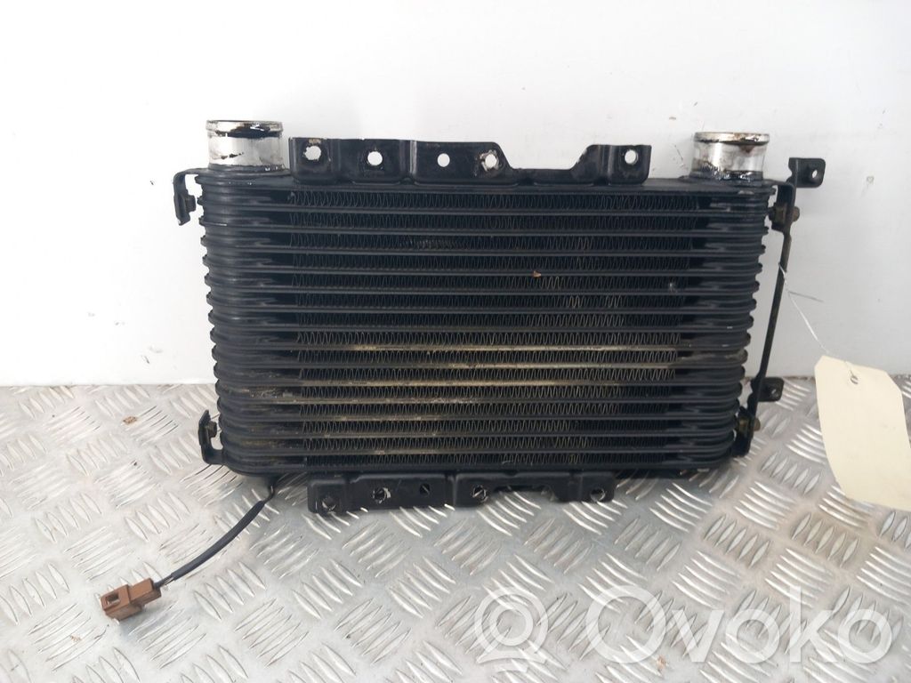 Mitsubishi Pajero Chłodnica powietrza doładowującego / Intercooler 