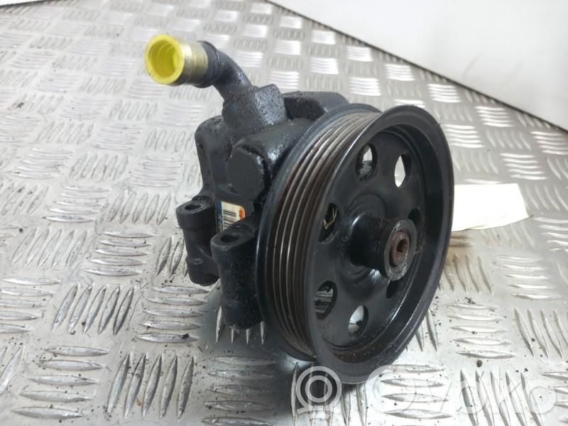 Power steering pump   1371089